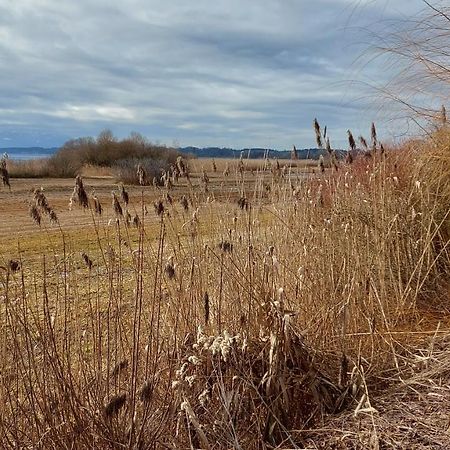 Marxhof Seebruck Am Chiemsee Seeon-Seebruck Eksteriør billede