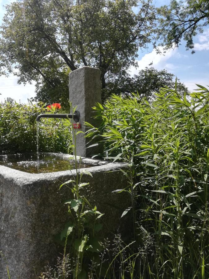 Marxhof Seebruck Am Chiemsee Seeon-Seebruck Eksteriør billede