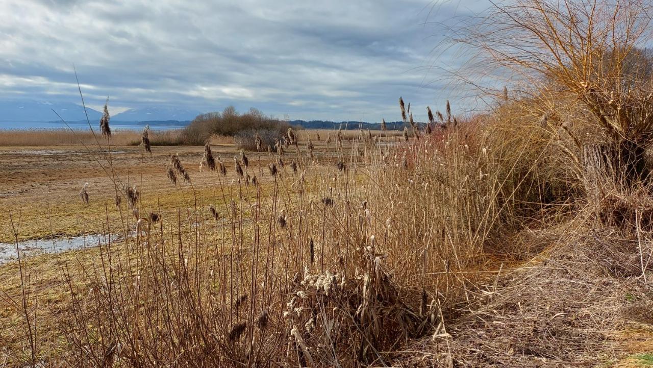 Marxhof Seebruck Am Chiemsee Seeon-Seebruck Eksteriør billede